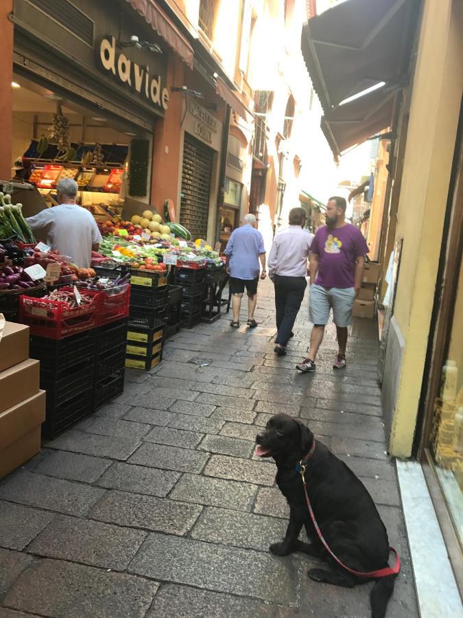 Casa Salbego R&B Bed & Breakfast Bologna Exterior photo